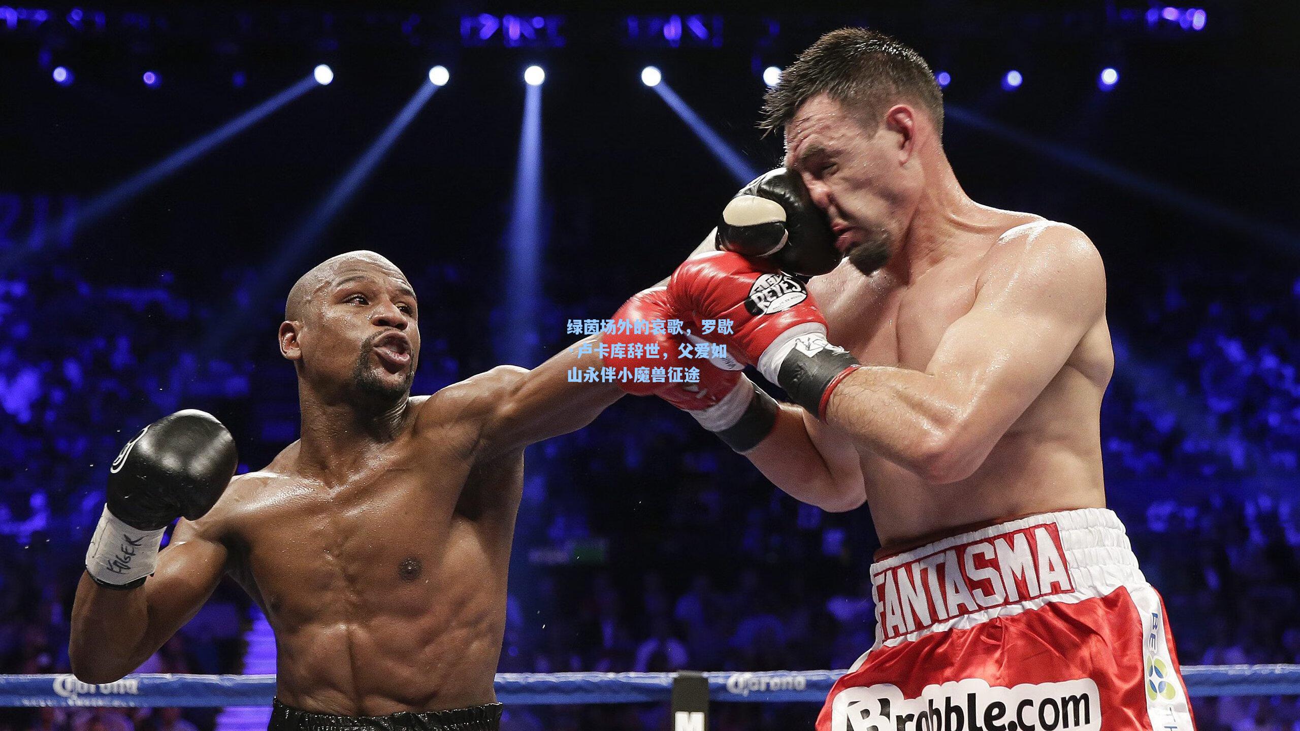 绿茵场外的哀歌，罗歇·卢卡库辞世，父爱如山永伴小魔兽征途